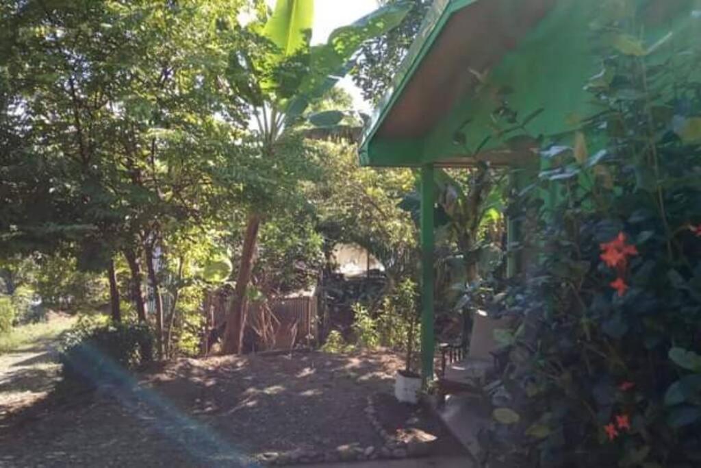 Casa Flor De Annia ~ Cozy 2 Bdrm On The River Sierpe ~ Walkable To Town Villa Exterior foto
