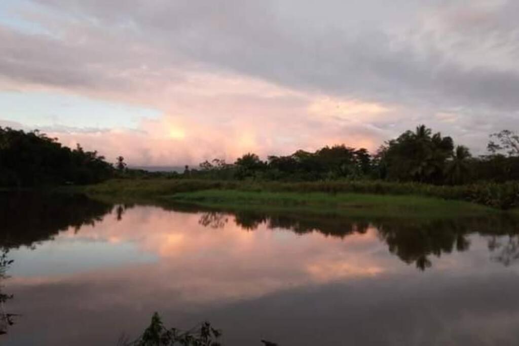 Casa Flor De Annia ~ Cozy 2 Bdrm On The River Sierpe ~ Walkable To Town Villa Exterior foto